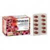Echinacea kapsle s vitamínem C 60 kapslí (Dr.Müller)