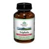 Triphala 60 tablet podpora trávení a detoxikace