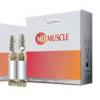 MD-MUSCLE ampulky 10x2ml