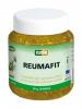 REUMAFIT kostivalový gel s jalovcem + MSM 350g